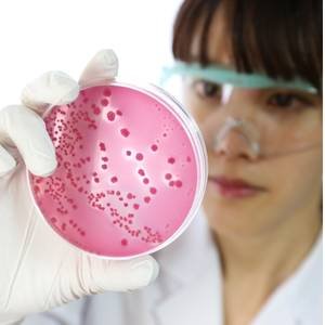 Home: Learn Microbiology 1 Basic Microbiology Quiz