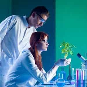 Environmental Microbiology Notes