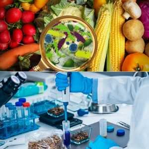 Food & Industrial Microbiology notes