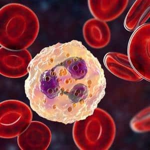 Immunology Notes