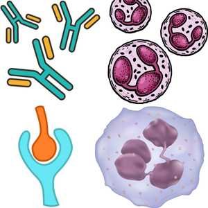 Home: Learn Microbiology 2 Immunology Quiz
