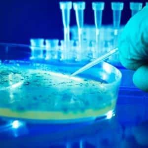 Medical Microbiology Notes