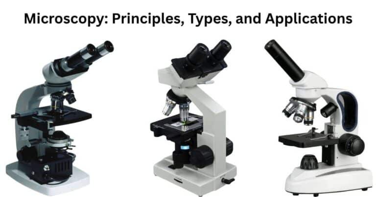 Microscopy Principles, Types, and Applications