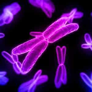 Molecular & Genetics Microbiology notes