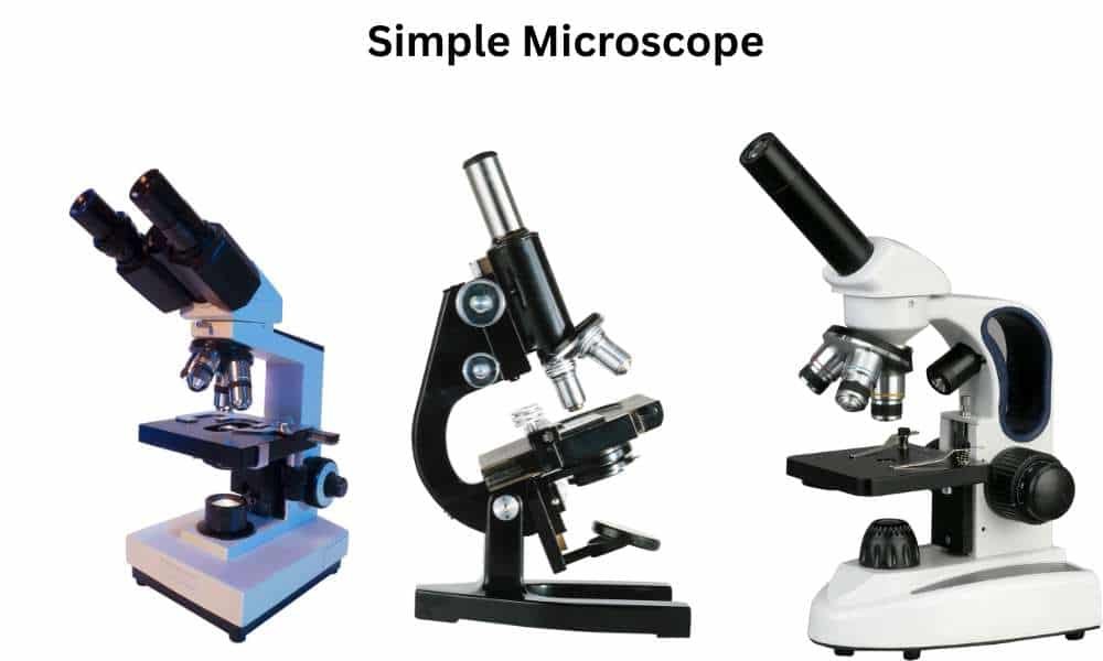 Simple Microscope