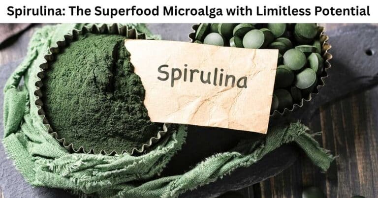 Spirulina The Superfood Microalga with Limitless Potential