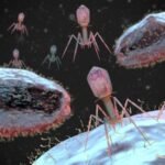 Microbiology Notes Learn Microbiology