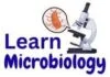 Learn Microbiology
