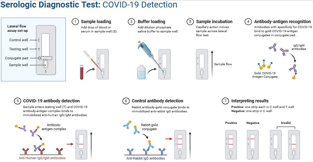Detection of Viruses: Modern Methods, Applications, and Advancements 2 Advanced Serological Immunoassays for detection of viruses