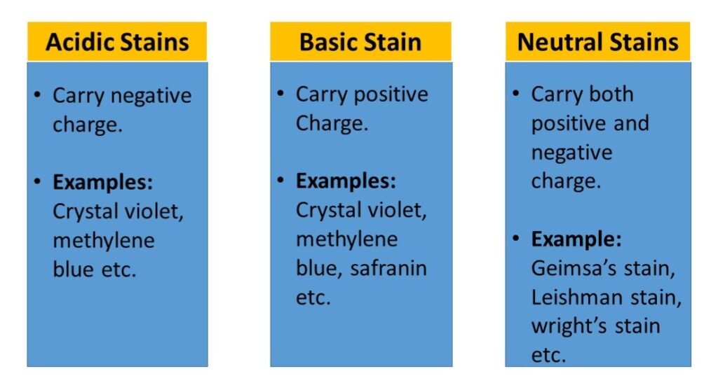 Based on chemical nature of staining