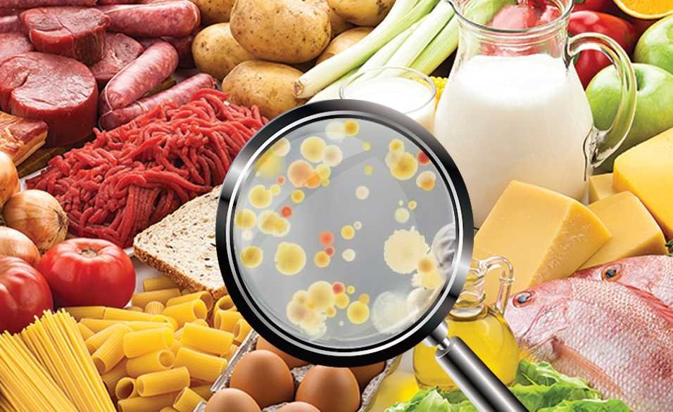 Basics of Food Microbiology