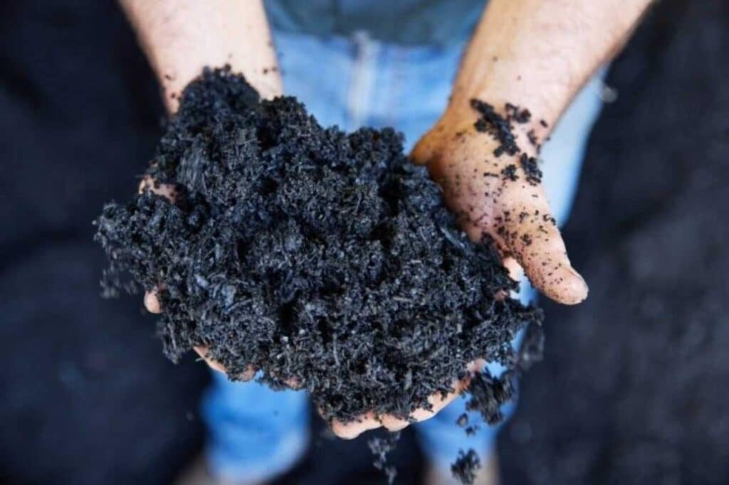 Biochar