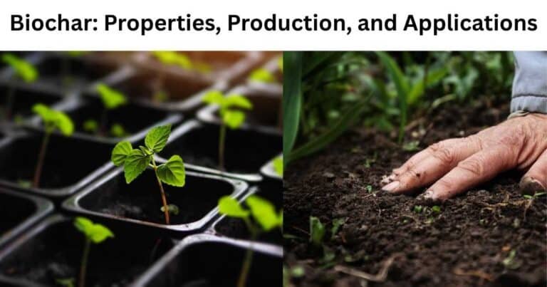 Biochar Properties, Production, and Applications