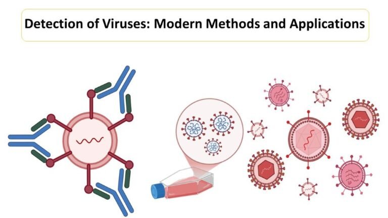 Detection of Viruses: Modern Methods, Applications, and Advancements 36 Detection of Viruses