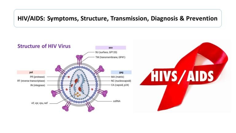 HIV and AIDS: Structure, Transmission, Symptoms, Diagnosis and Prevention 29 HIV/AIDS: Symptoms, Structure, Transmission, Diagnosis & Prevention