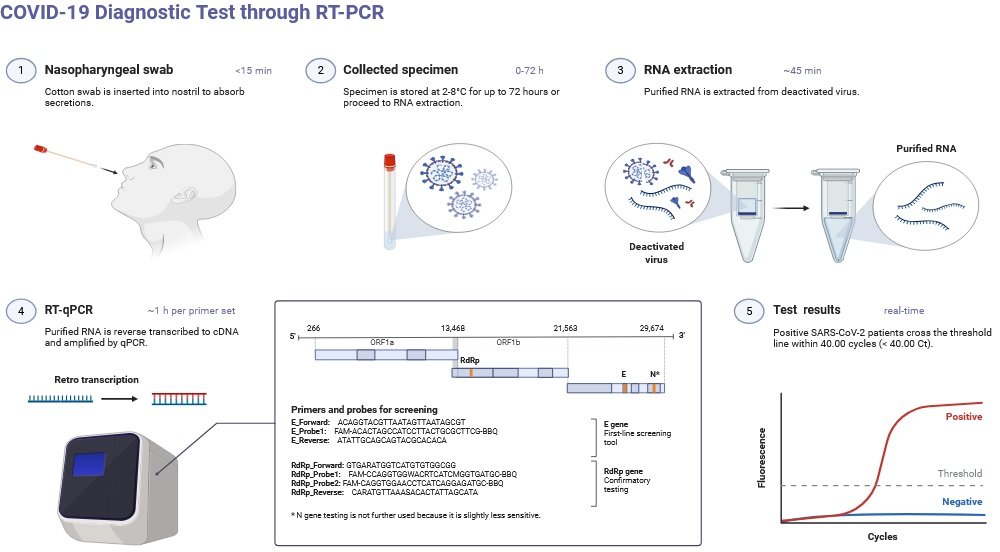 Detection of Viruses: Modern Methods, Applications, and Advancements 3 PCR and RT-PCR-Based detection of viruses