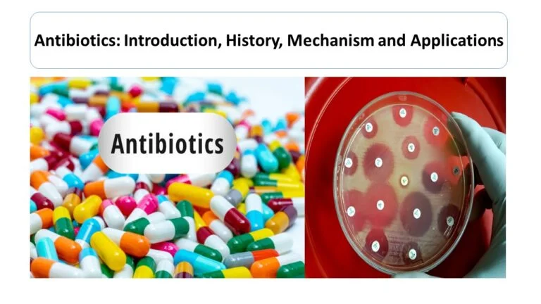Antibiotics: Inroduction, History, Mechanism and Applications
