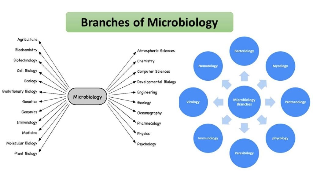 Branches of Microbiology