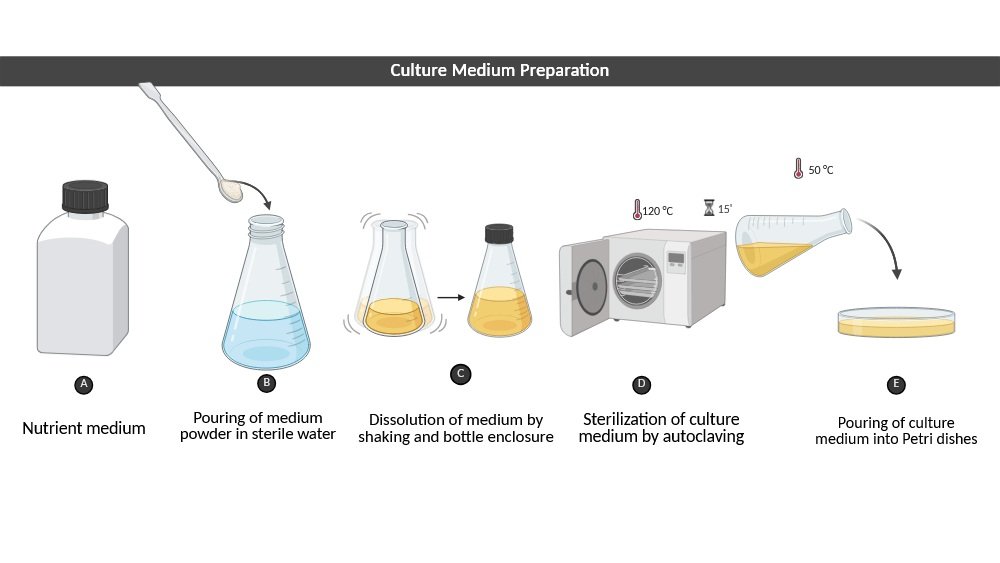 Culture Media Prepration