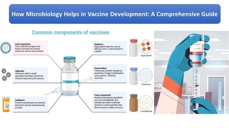 How Microbiology Helps in Vaccine Development: A Comprehensive Guide 17 How Microbiology Helps in Vaccine Development