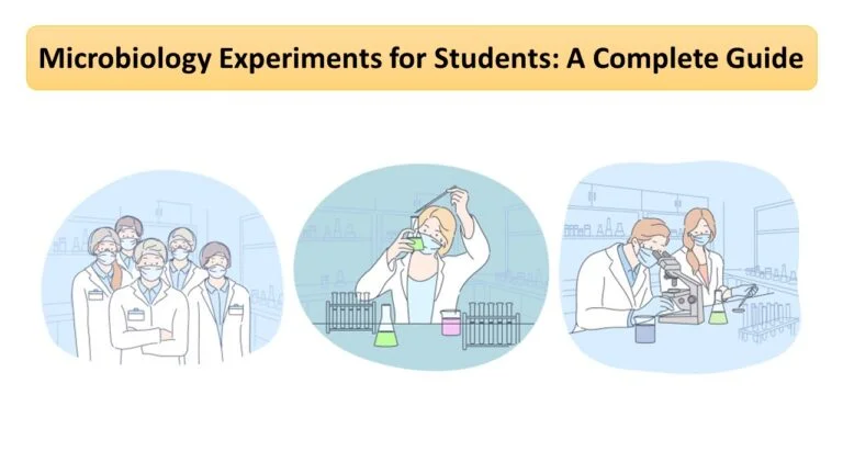 Microbiology Experiments for Students