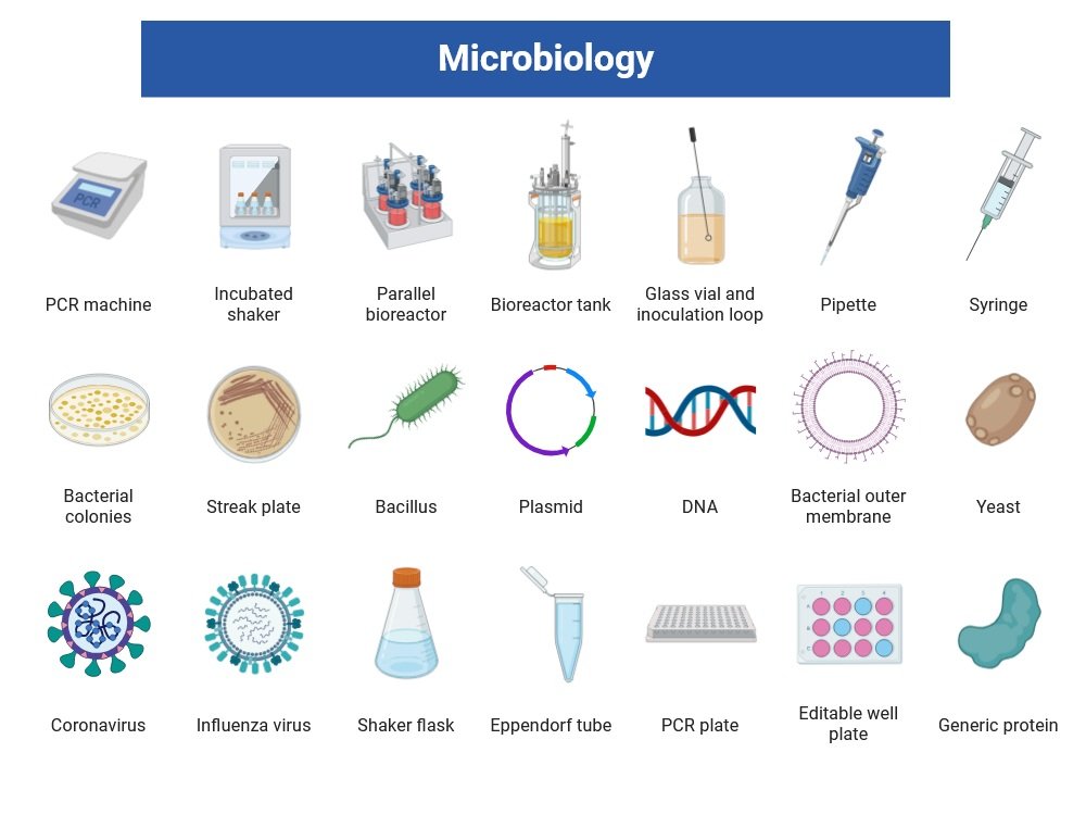Microbiology Lab Equipments