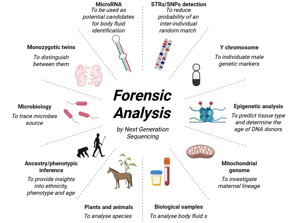 Microbiology in Forensic Sciences