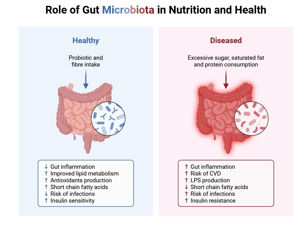 Microbiology in Healthcare