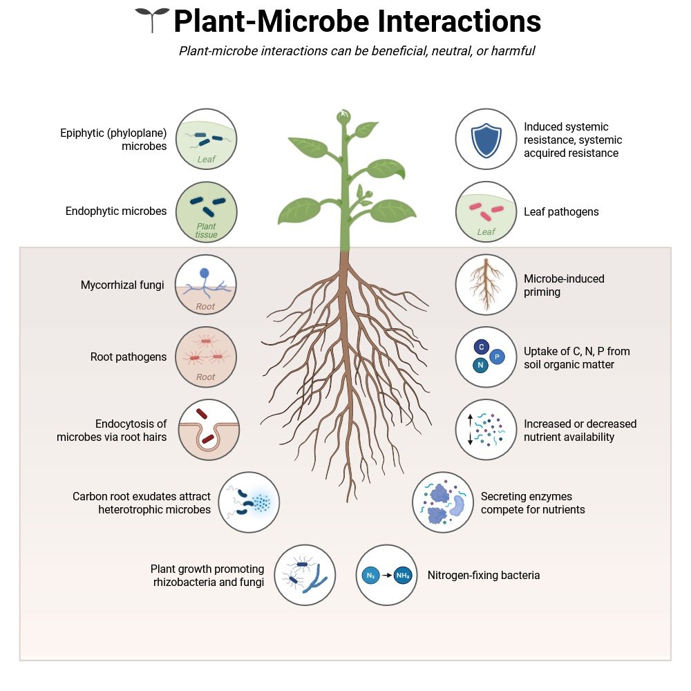 Plant-Microbe Interactions
