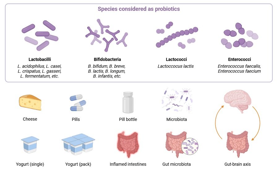 Probiotics bacteria