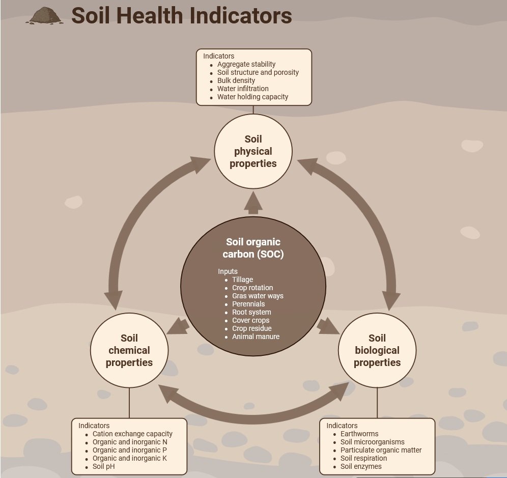 Soil Microbiology