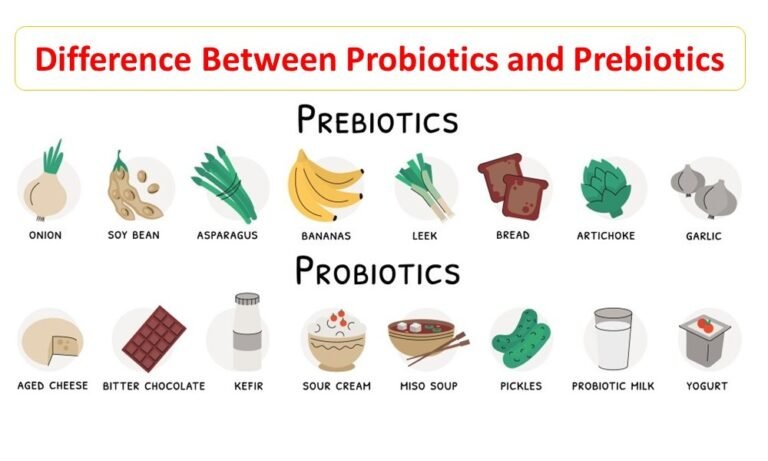 Difference Between Probiotics and Prebiotics 3 Difference Between Probiotics and Prebiotics