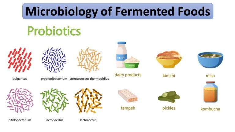 Microbiology of Fermented Foods 14 Microbiology of Fermented Foods