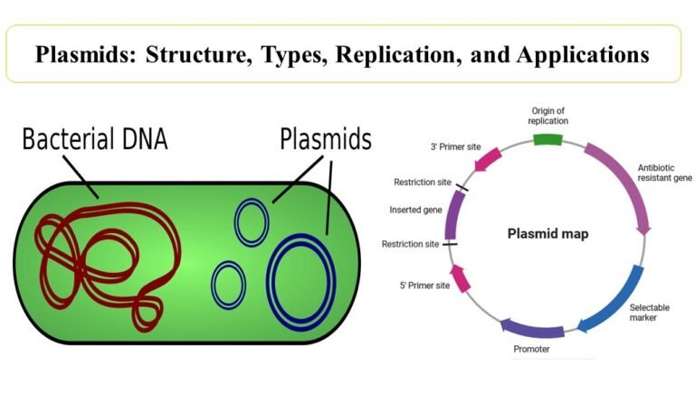 Plasmids: Structure, Types, Replication, and Applications 11 Plasmids: Structure, Types, Replication, and Applications