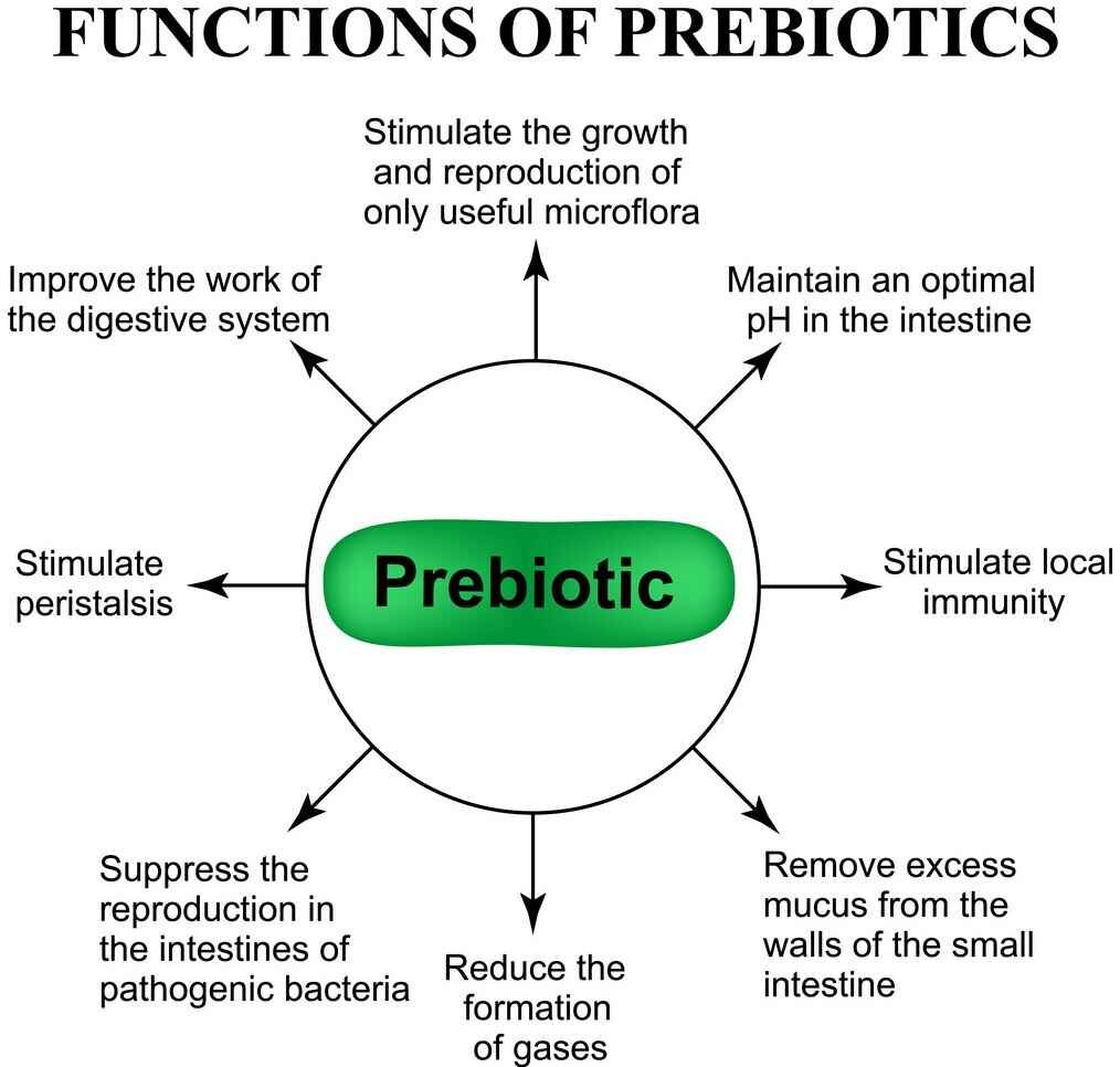 Prebiotics