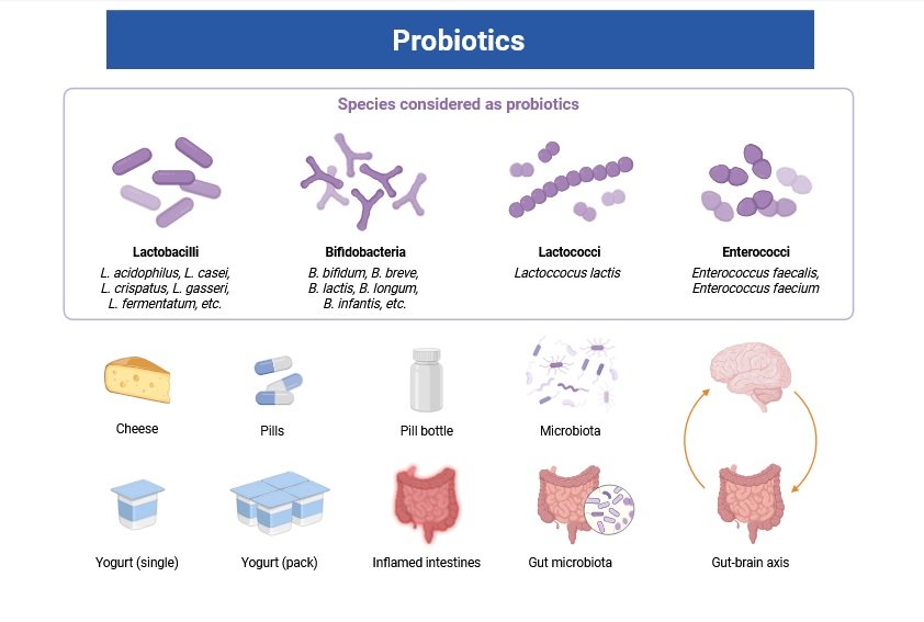 Probiotics
